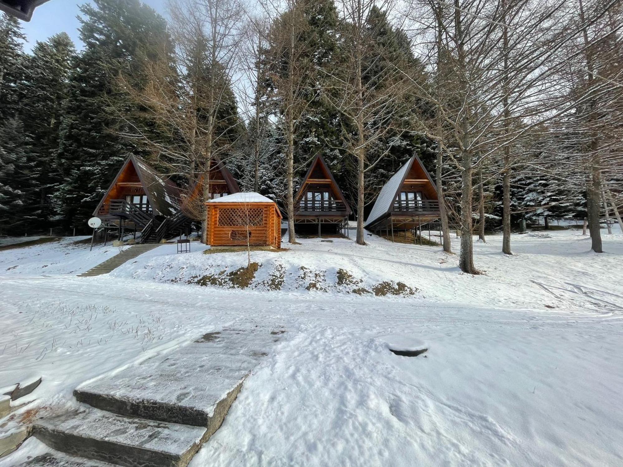 Villa Karpatskyy à Rozluch Extérieur photo