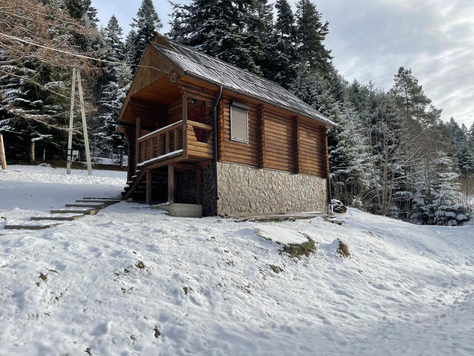 Villa Karpatskyy à Rozluch Extérieur photo