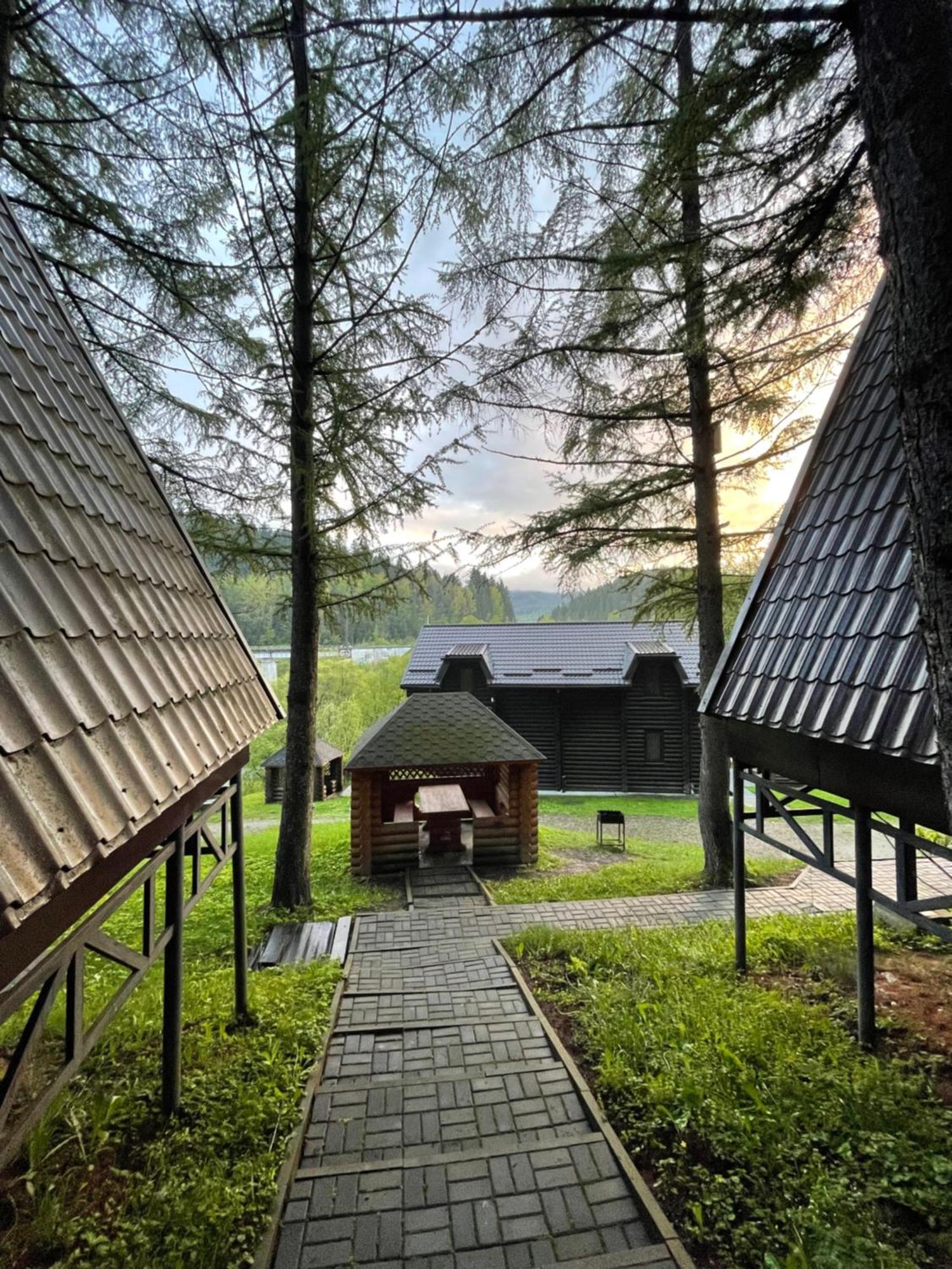 Villa Karpatskyy à Rozluch Extérieur photo