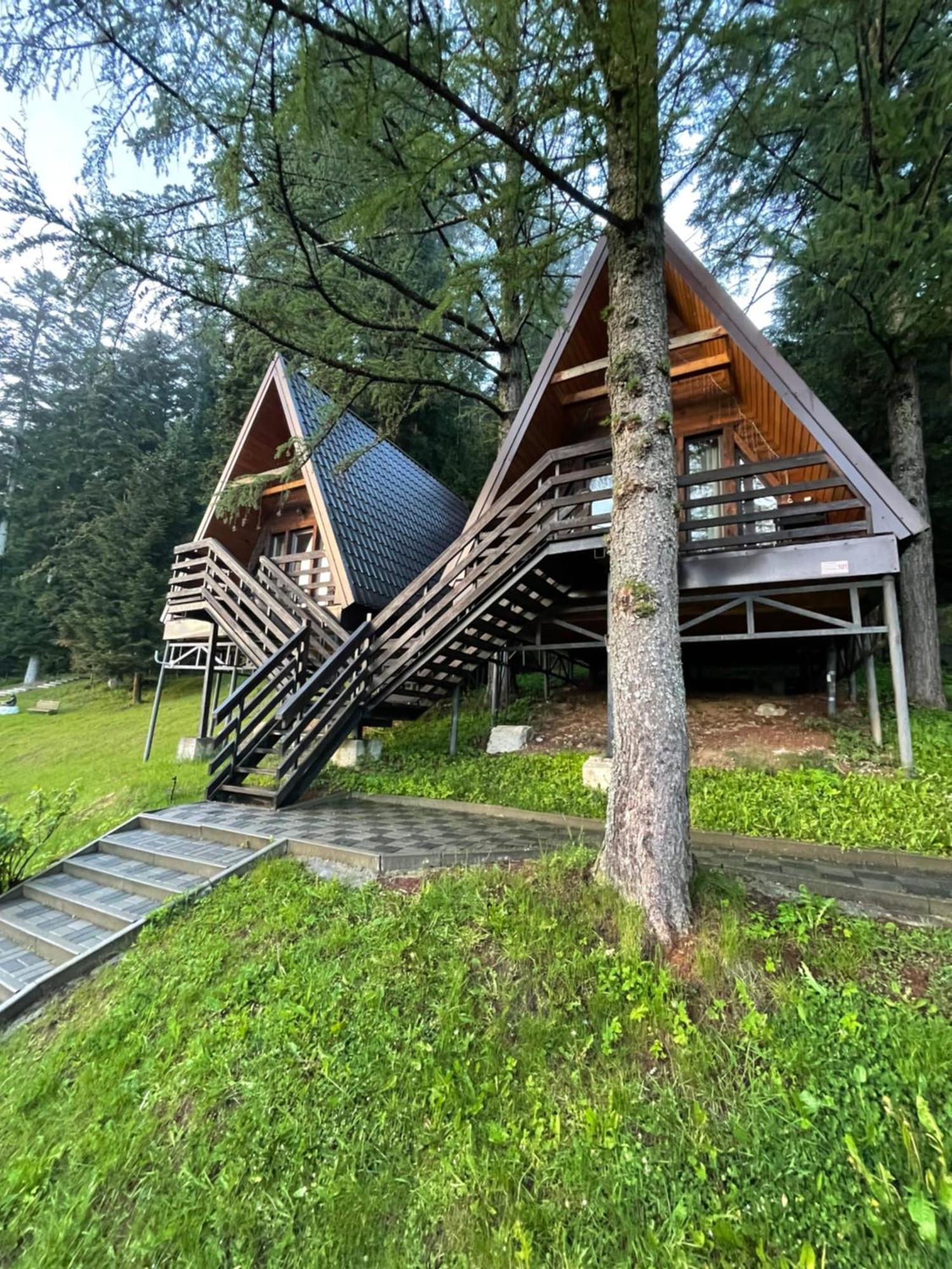 Villa Karpatskyy à Rozluch Extérieur photo